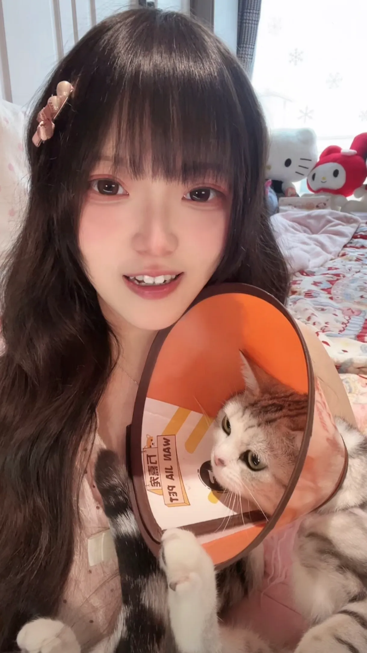 纪念图3｜抽象图文/毛孩子